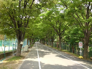 附中02.jpg